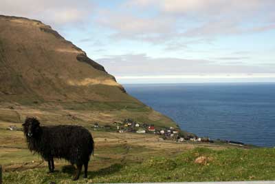 Nú nærkast Útoyggjastevnan